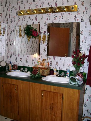 263 Cal Durham Road Bethpage, TN 37022 - Photo 9 of 20 And Can You Believe? Double Vanities !!! So You Don't Have To Wait For The "Tooth Brush " Brigade !