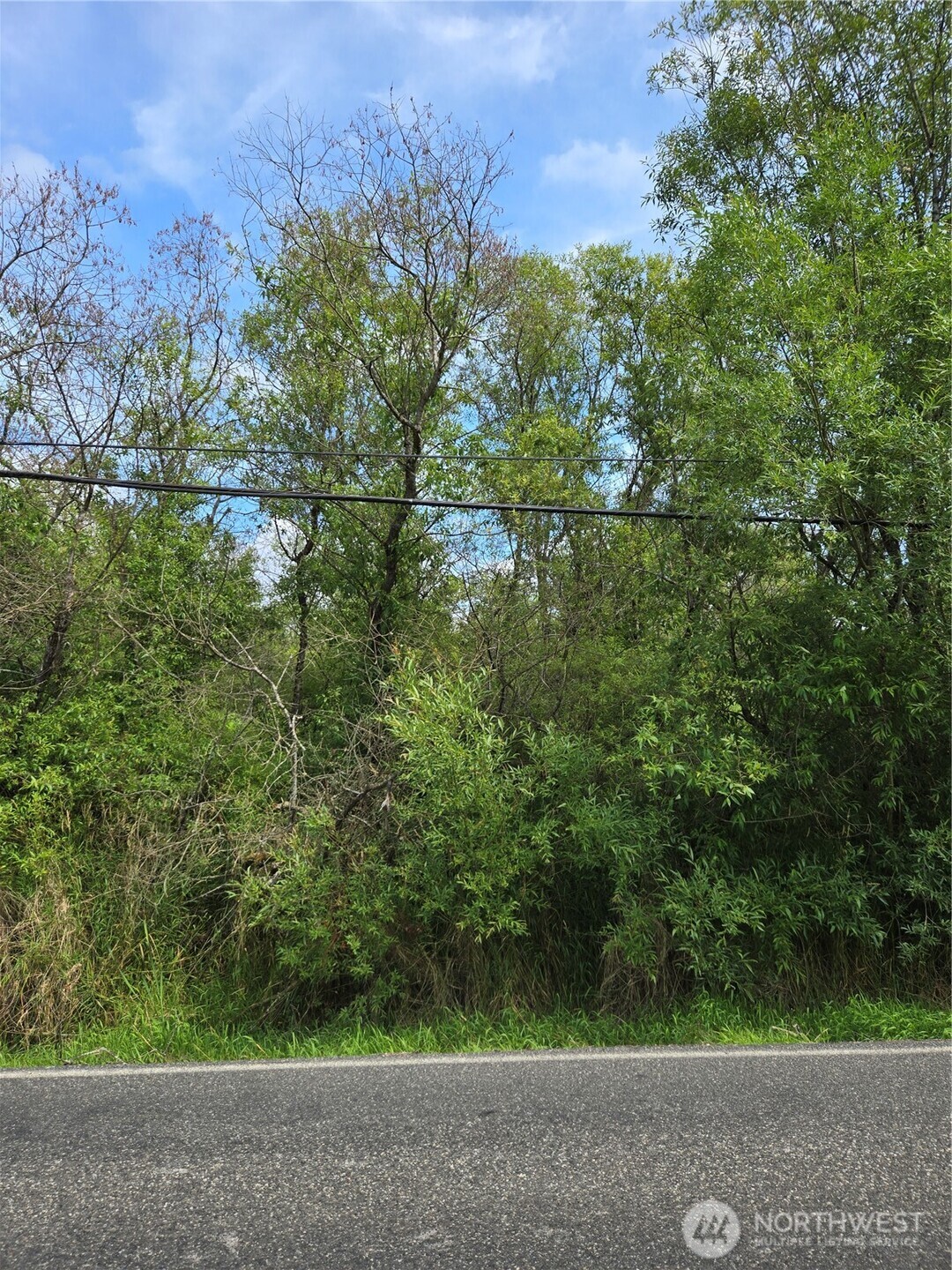 a view of a yard with a tree