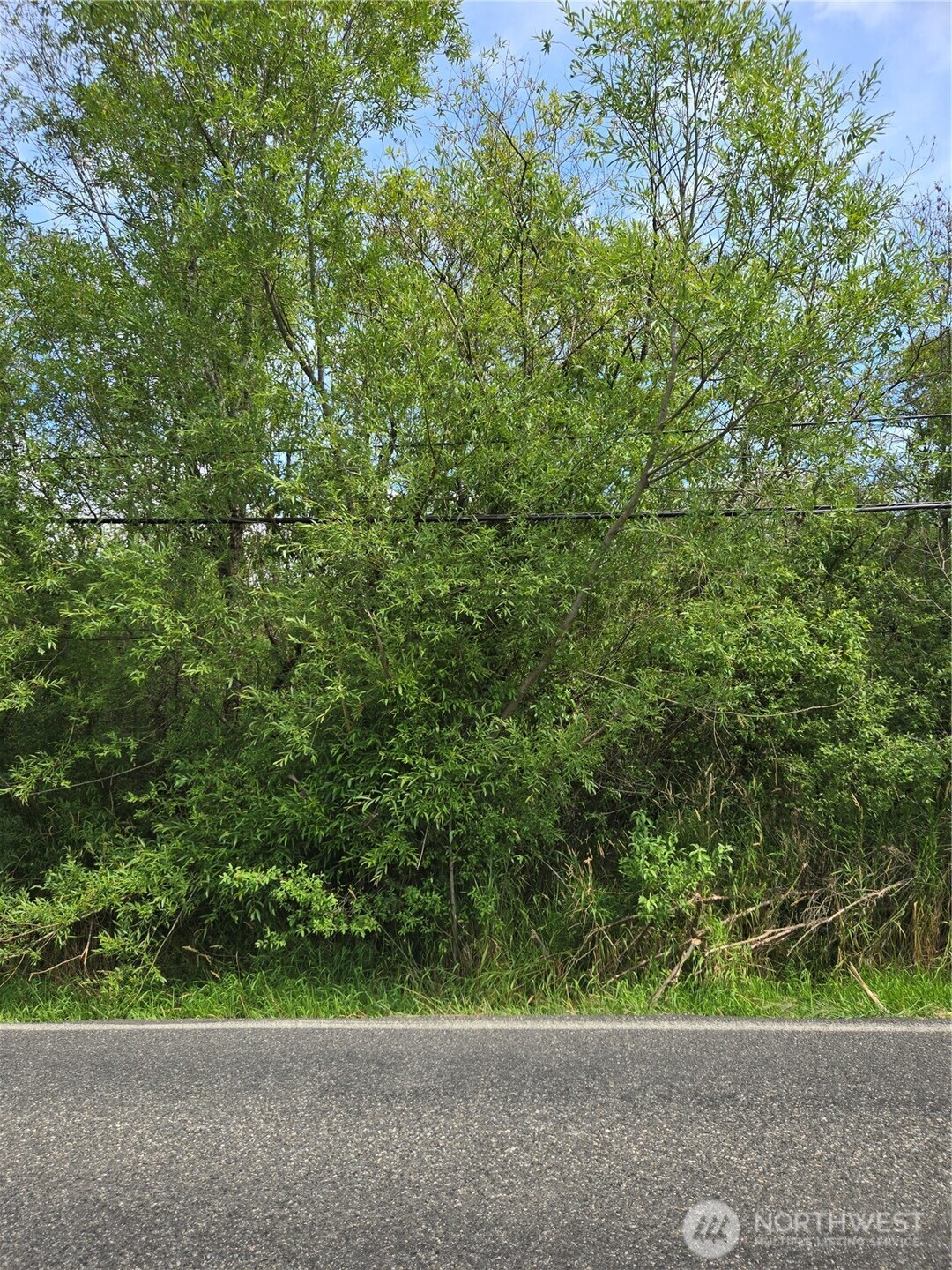 7933 Custer Road Blaine, WA 98230 - Photo 2 of 2 a view of a yard