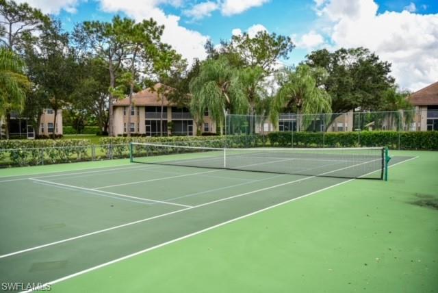 8083 Panther Trail, Unit 1504 Naples, FL 34113 - Photo 21 of 24 a view of a tennis ground with large trees