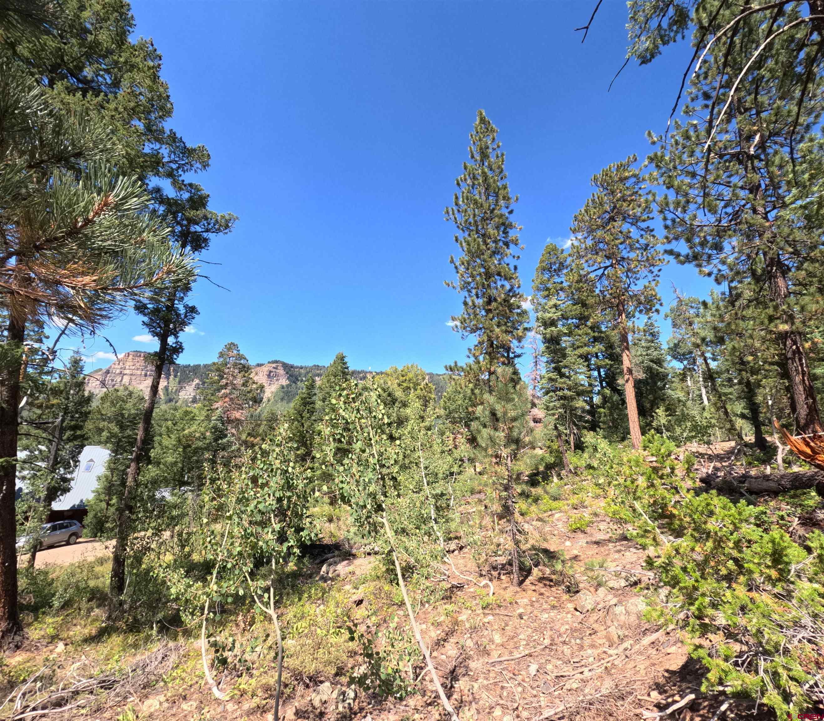 48 Ponderosa Way Durango, CO 81301 - Photo 13 of 24 a view of a yard with a tree