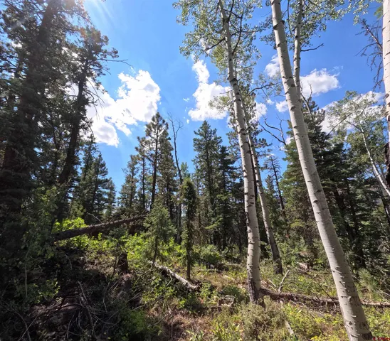 a view of a house with a field