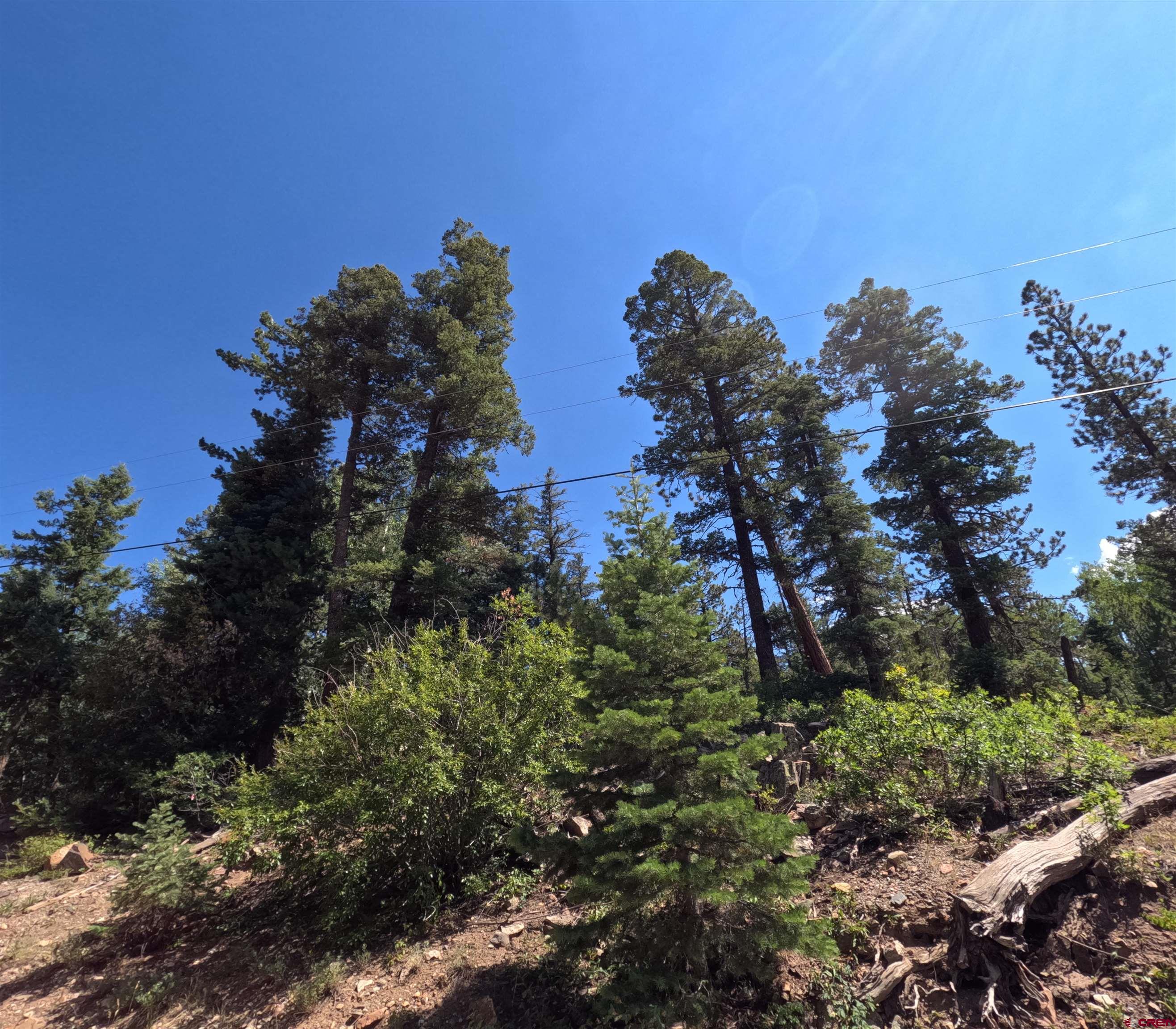 48 Ponderosa Way Durango, CO 81301 - Photo 17 of 24 a view of a house with a field