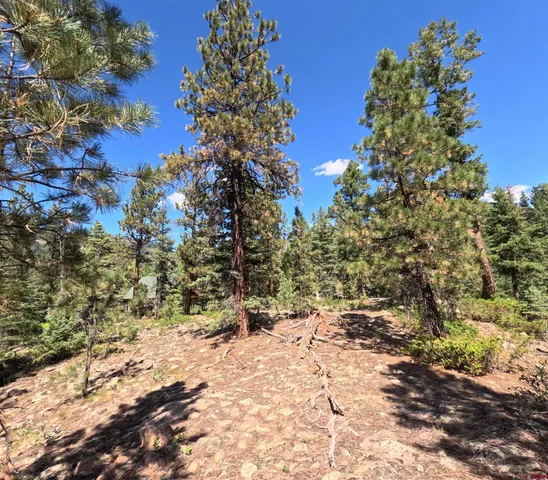 a view of a mountain range with trees