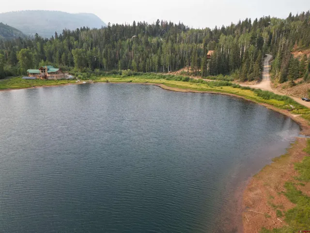 a view of a swimming pool with a yard and large trees