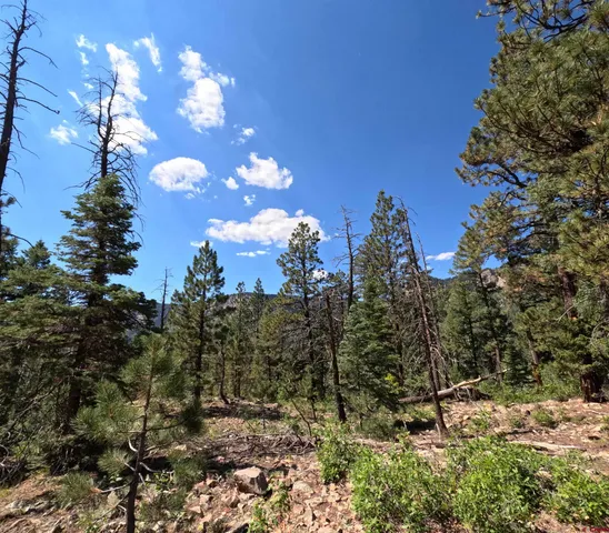 $144,999 | 48 Ponderosa Way, Durango, CO 81301