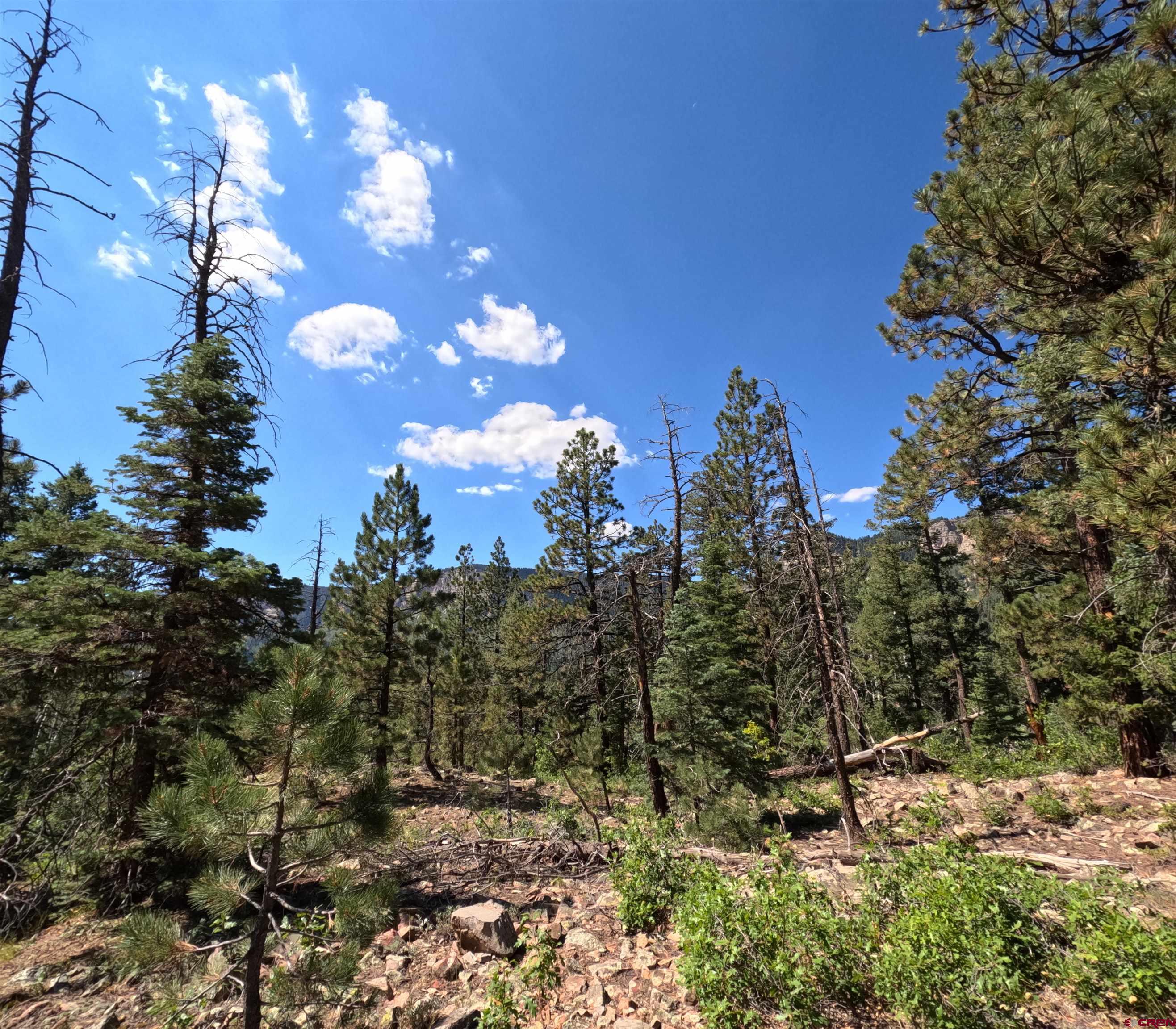48 Ponderosa Way Durango, CO 81301 - Photo 24 of 24 a view of a house with a yard