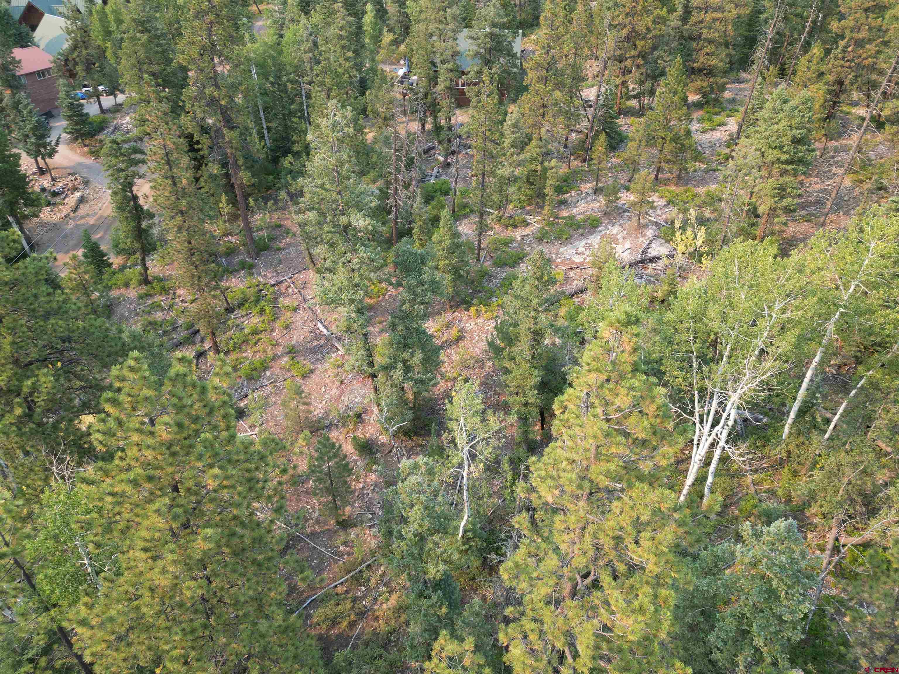 48 Ponderosa Way Durango, CO 81301 - Photo 3 of 24 a close up of a plant
