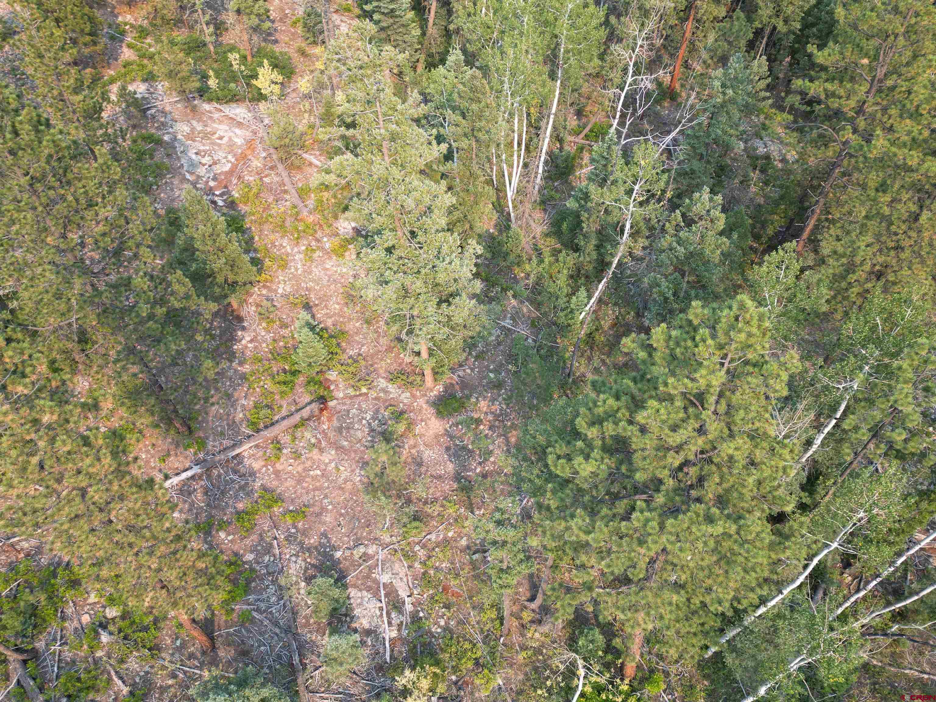 48 Ponderosa Way Durango, CO 81301 - Photo 4 of 24 a view of a yard with a tree