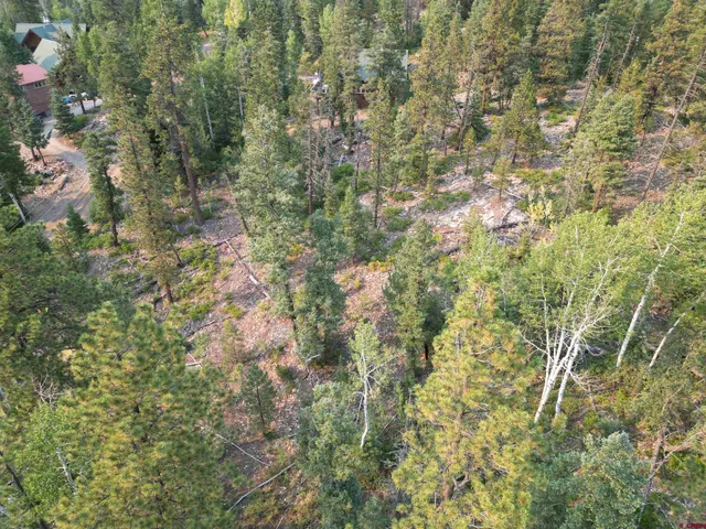 a close up of a plant