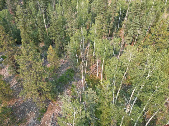 an aerial view of residential house with outdoor space and trees all around