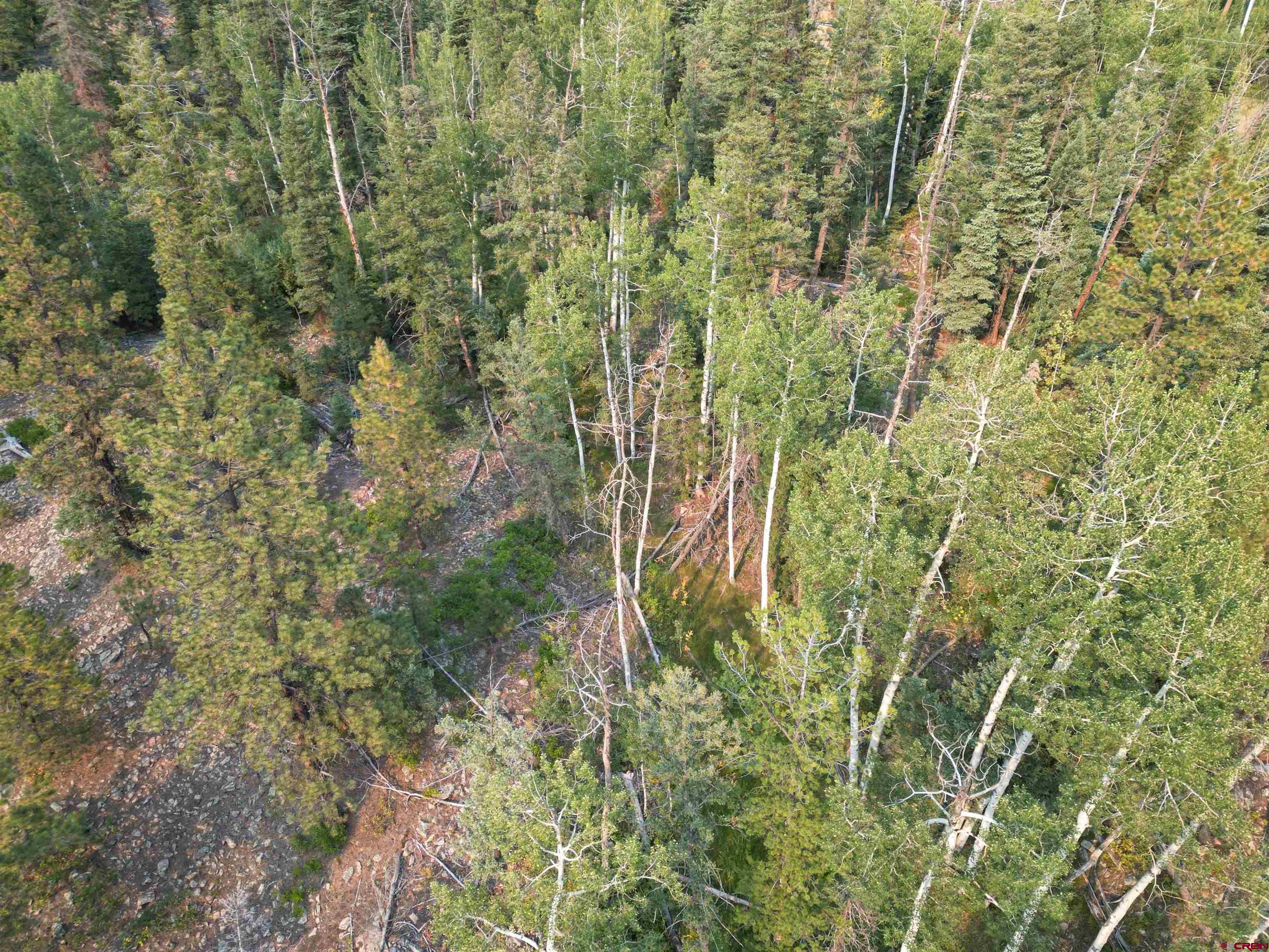 48 Ponderosa Way Durango, CO 81301 - Photo 7 of 24