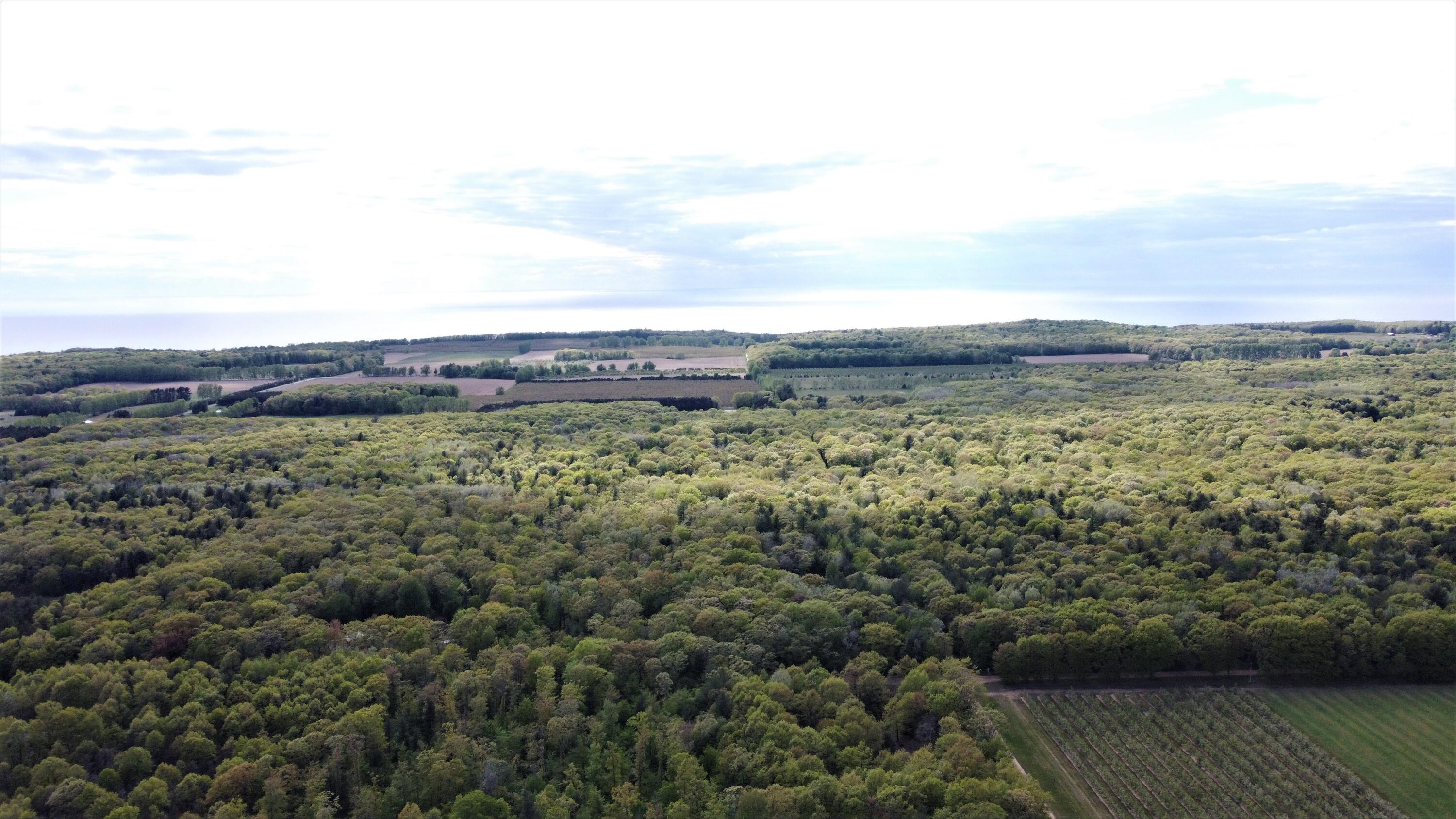 West Woodrow Road Shelby, MI 49455 - Photo 10 of 12 viewabove
