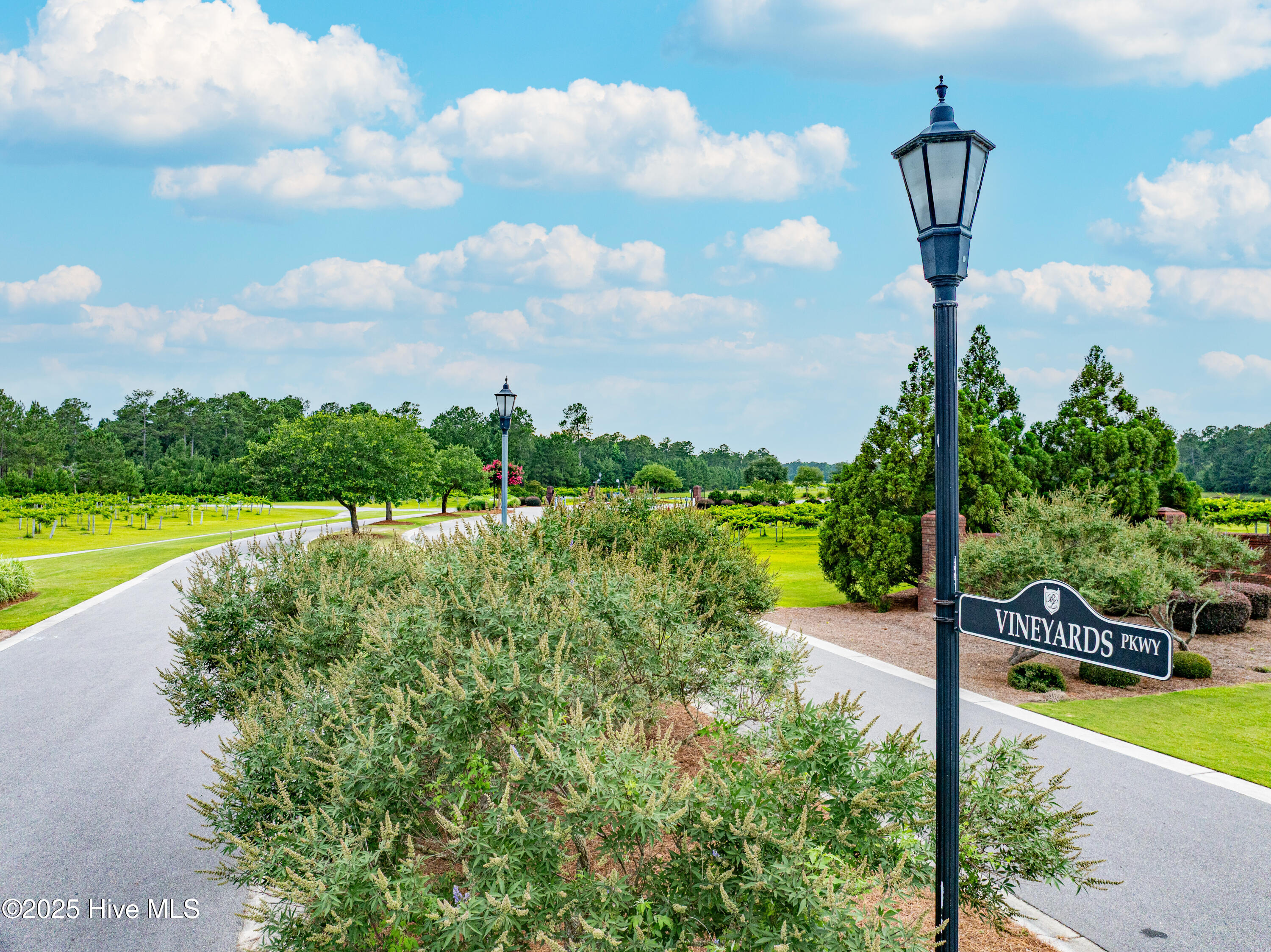 129 Cellars Way Wallace, NC 28466 - Photo 5 of 18 DJI_20250624124210_0022_D-Edit