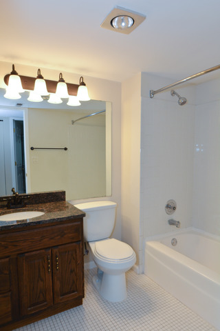 30W279 Ridgewood Court Warrenville, IL 60555 - Photo 11 of 23 a bathroom with a granite countertop toilet sink and mirror