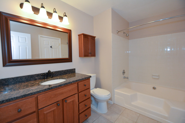 30W279 Ridgewood Court Warrenville, IL 60555 - Photo 14 of 23 a bathroom with a granite countertop sink a toilet mirror and bathtub