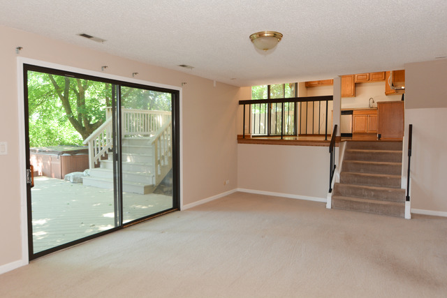 30W279 Ridgewood Court Warrenville, IL 60555 - Photo 10 of 23 an empty room with windows