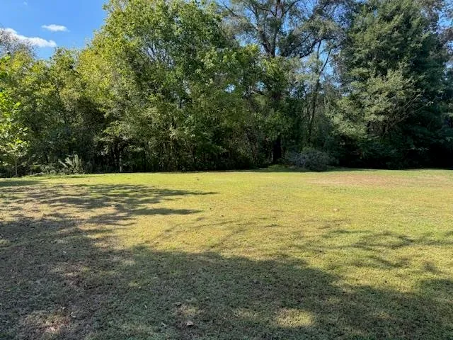a view of an ocean and trees