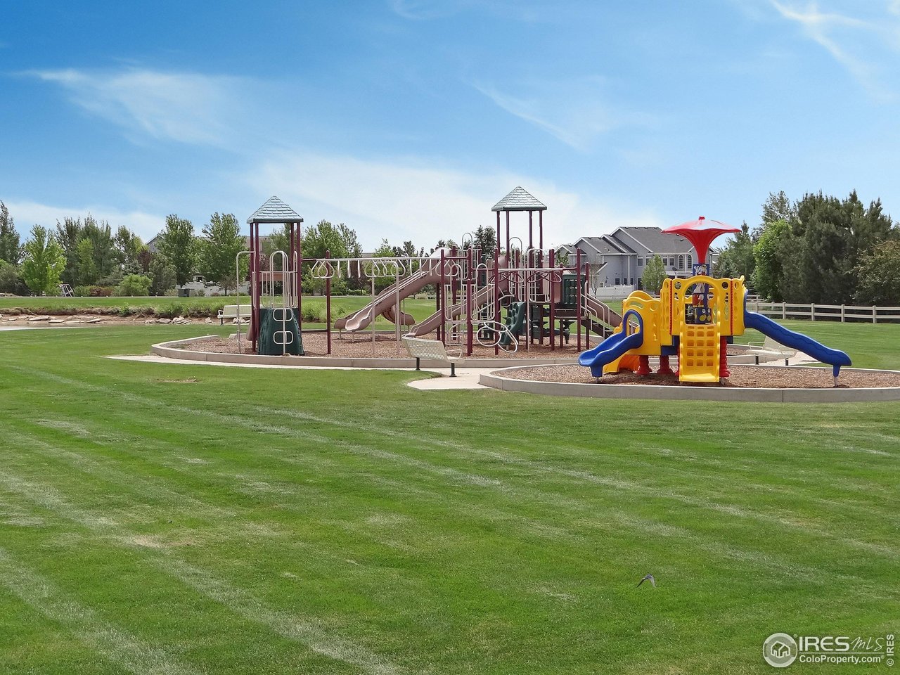 1537 Red Tail Road Eaton, CO 80615 - Photo 5 of 6 Gallery Image 5