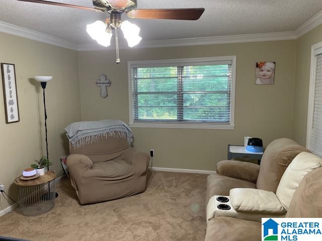 30 2nd Avenue Sterrett, AL 35147 - Photo 17 of 17