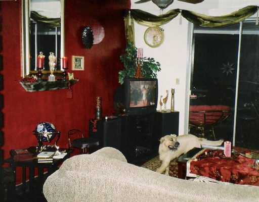 942 Southwest 5th Street Boca Raton, FL 33486 - Photo 2 of 8 Additional Photo