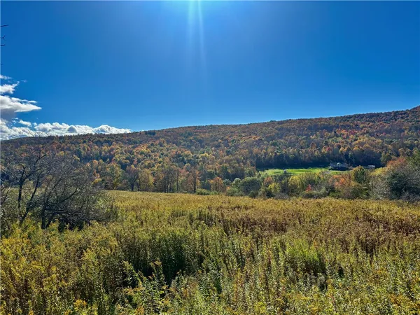 $150,000 | Lot 14 Heatherland Lane, Halcottsville, NY 12438