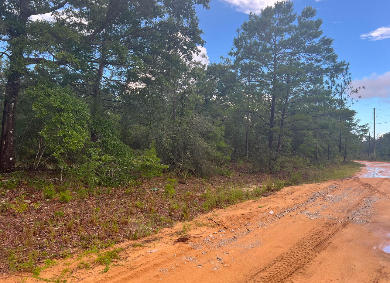 Lot 1 Round Table Road DeFuniak Springs, FL 32433 - Photo 2 of 3 a view of backyard with green space