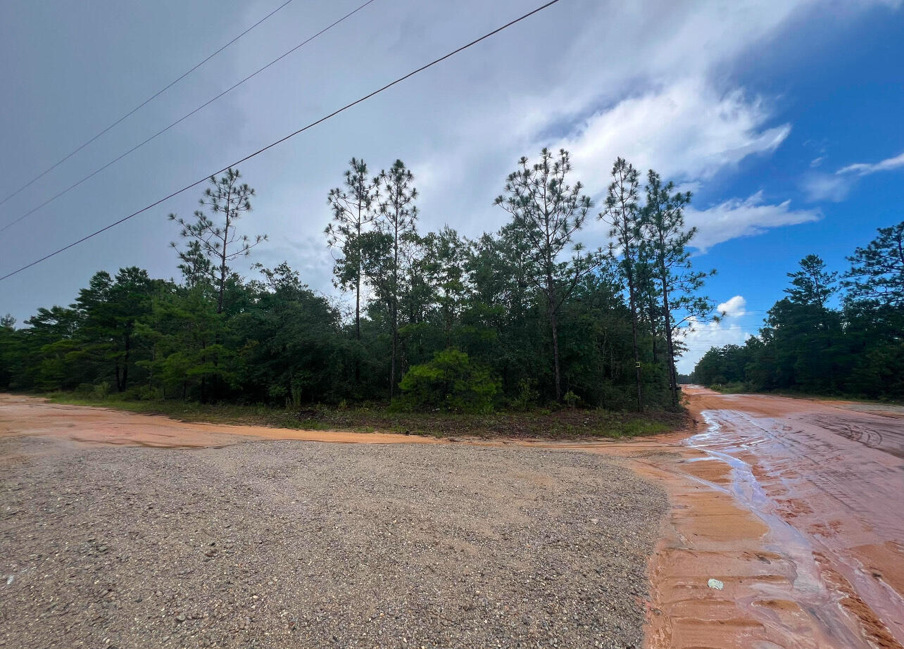 Lot 1 Round Table Road DeFuniak Springs, FL 32433 - Photo 3 of 3 a view of a backyard of the house