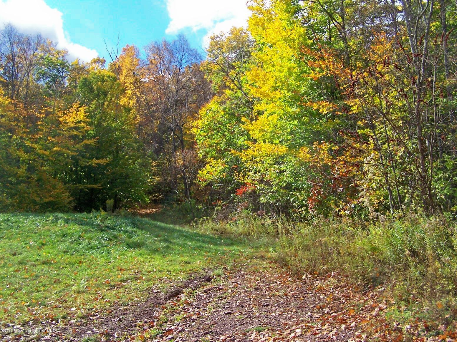 Ted_Woods Trail