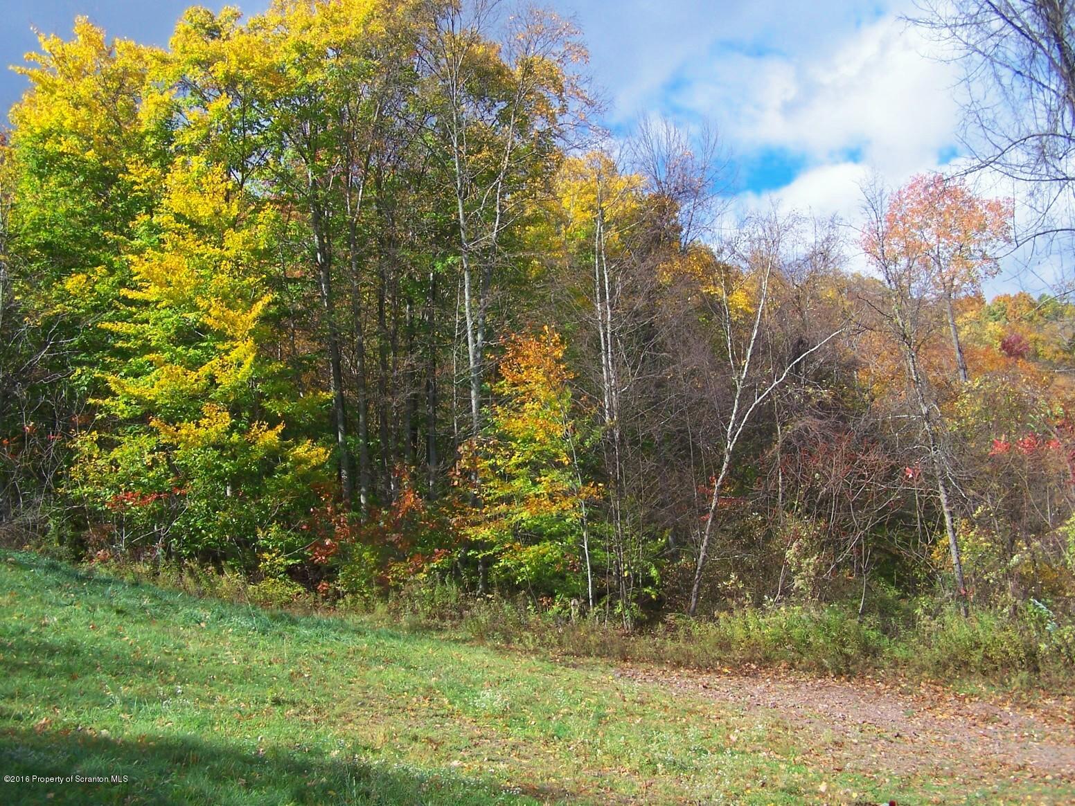 2487 Spring Lake Road Wyalusing, PA 18853 - Photo 9 of 9 Ted_Woods