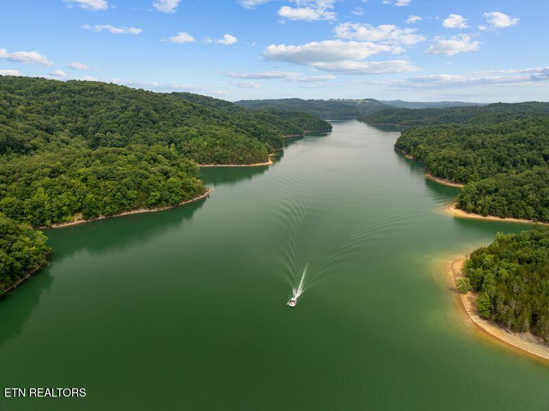 976 Livingston Boatdock Road Allons, TN 38541 - Photo 20 of 21 gedwill use 25