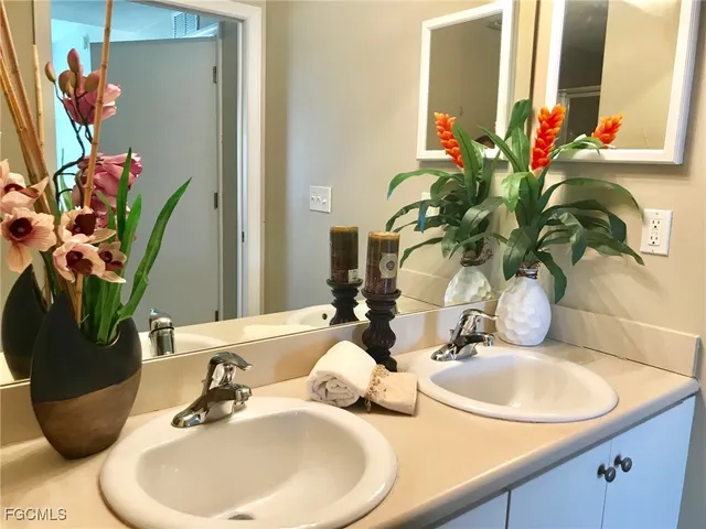 a bathroom sink a potted plant and a mirror