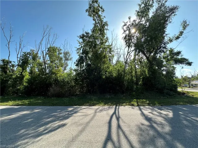 a view of path and yard