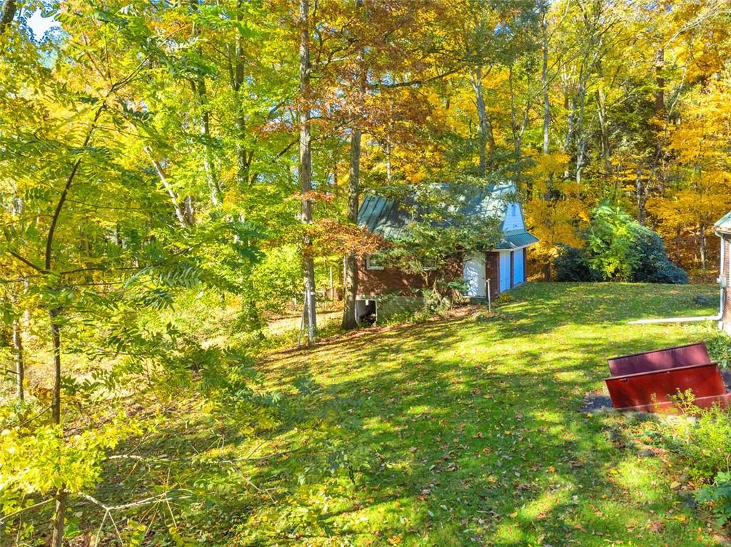 5572 Sandy Lake Polk Road Sandy Lake, PA 16145 - Photo 21 of 36 a view of a yard with a tree