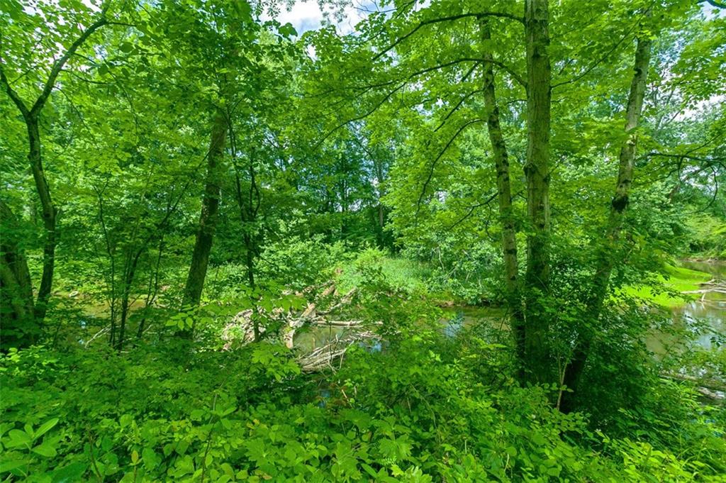 5572 Sandy Lake Polk Road Sandy Lake, PA 16145 - Photo 26 of 36 a view of a lush green forest