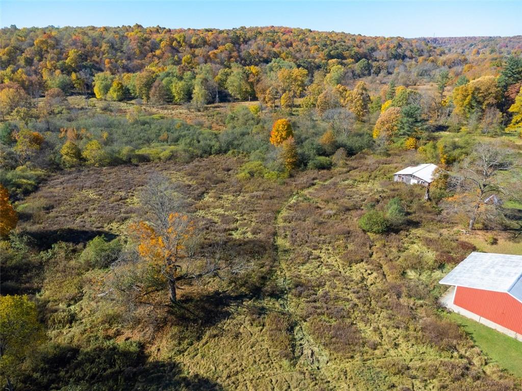 5572 Sandy Lake Polk Road Sandy Lake, PA 16145 - Photo 28 of 36 a view of outdoor space and mountain view