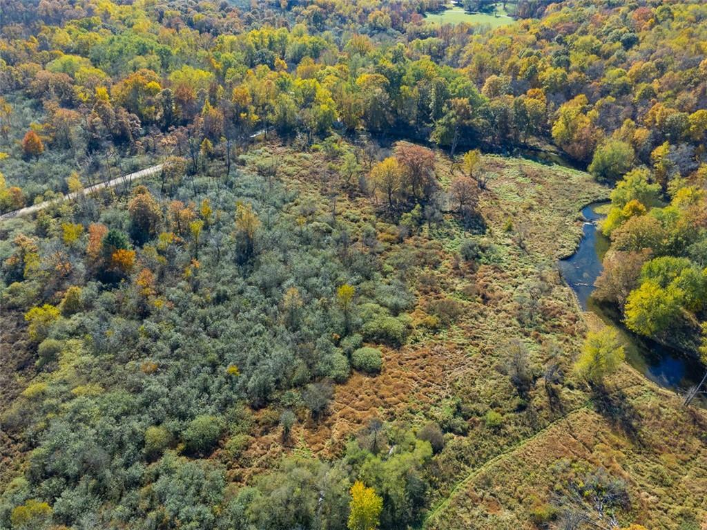 5572 Sandy Lake Polk Road Sandy Lake, PA 16145 - Photo 31 of 36 a view of a forest with a tree