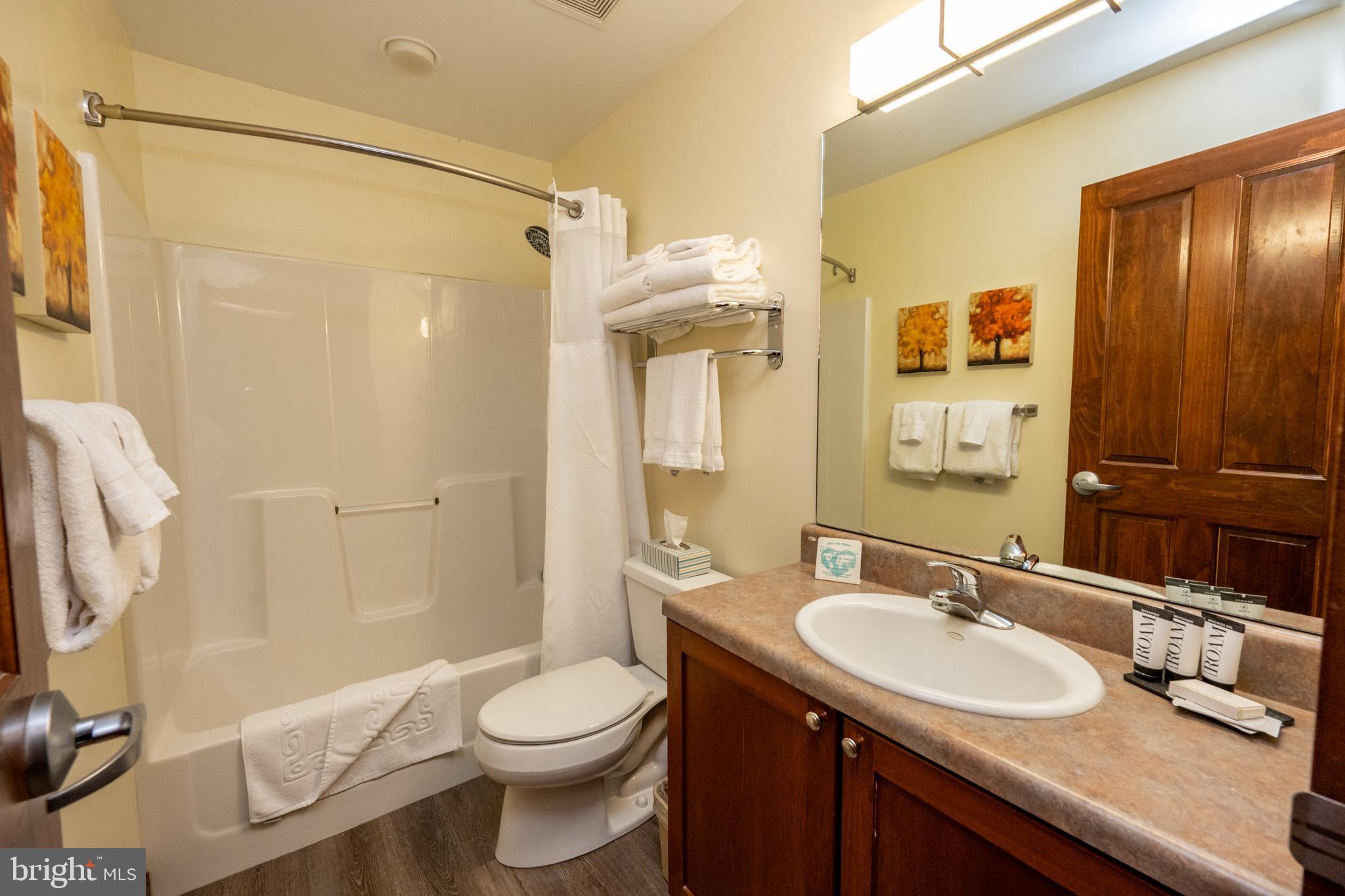 565 Glendale Road, Unit B206 Oakland, MD 21550 - Photo 18 of 32 Modern bathroom with elegant finishes.