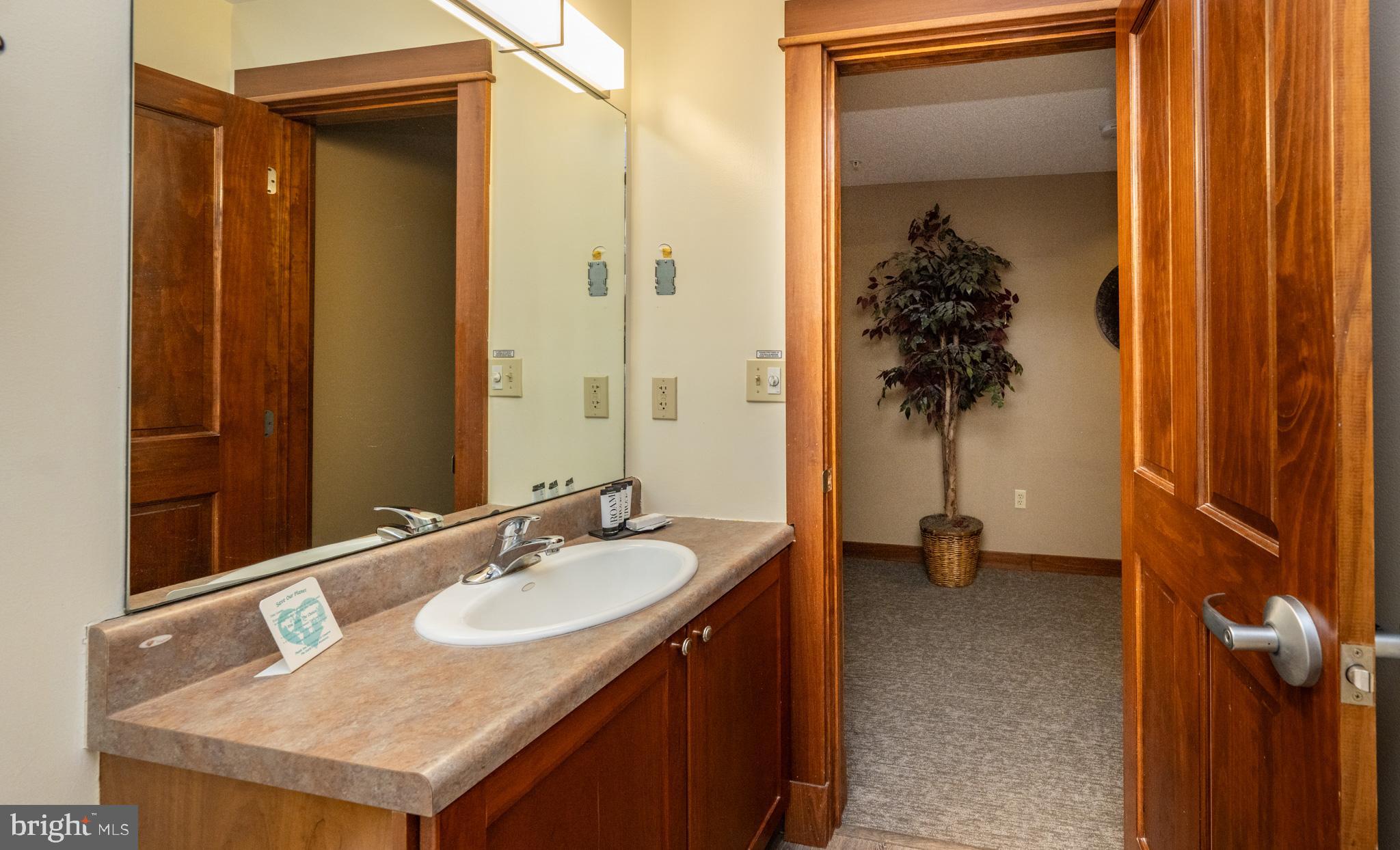 565 Glendale Road, Unit B206 Oakland, MD 21550 - Photo 19 of 32 Elegant bathroom with warm wood accents.