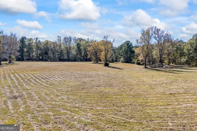 $899,000 | 1091 East Peachtree Avenue, Woodville, GA 30669