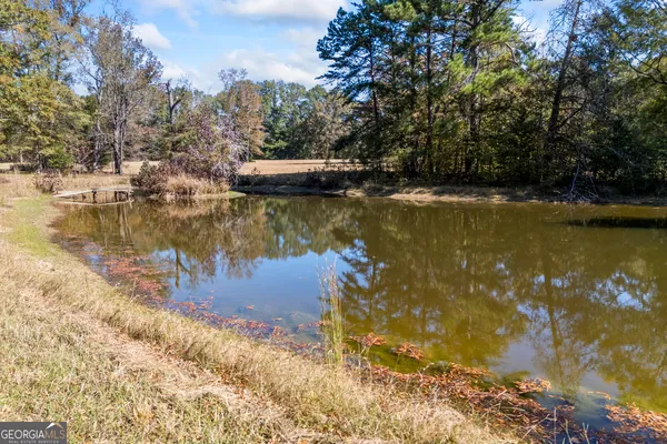 $899,000 | 1091 East Peachtree Avenue, Woodville, GA 30669