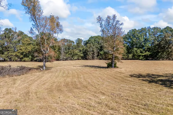 $899,000 | 1091 East Peachtree Avenue, Woodville, GA 30669