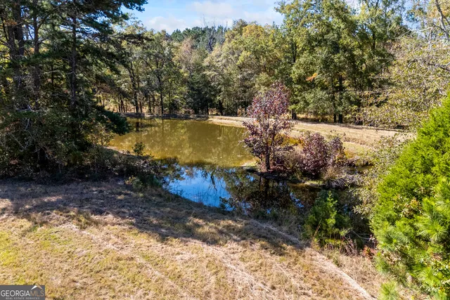 $899,000 | 1091 East Peachtree Avenue, Woodville, GA 30669