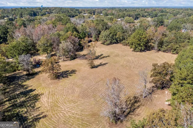 $899,000 | 1091 East Peachtree Avenue, Woodville, GA 30669