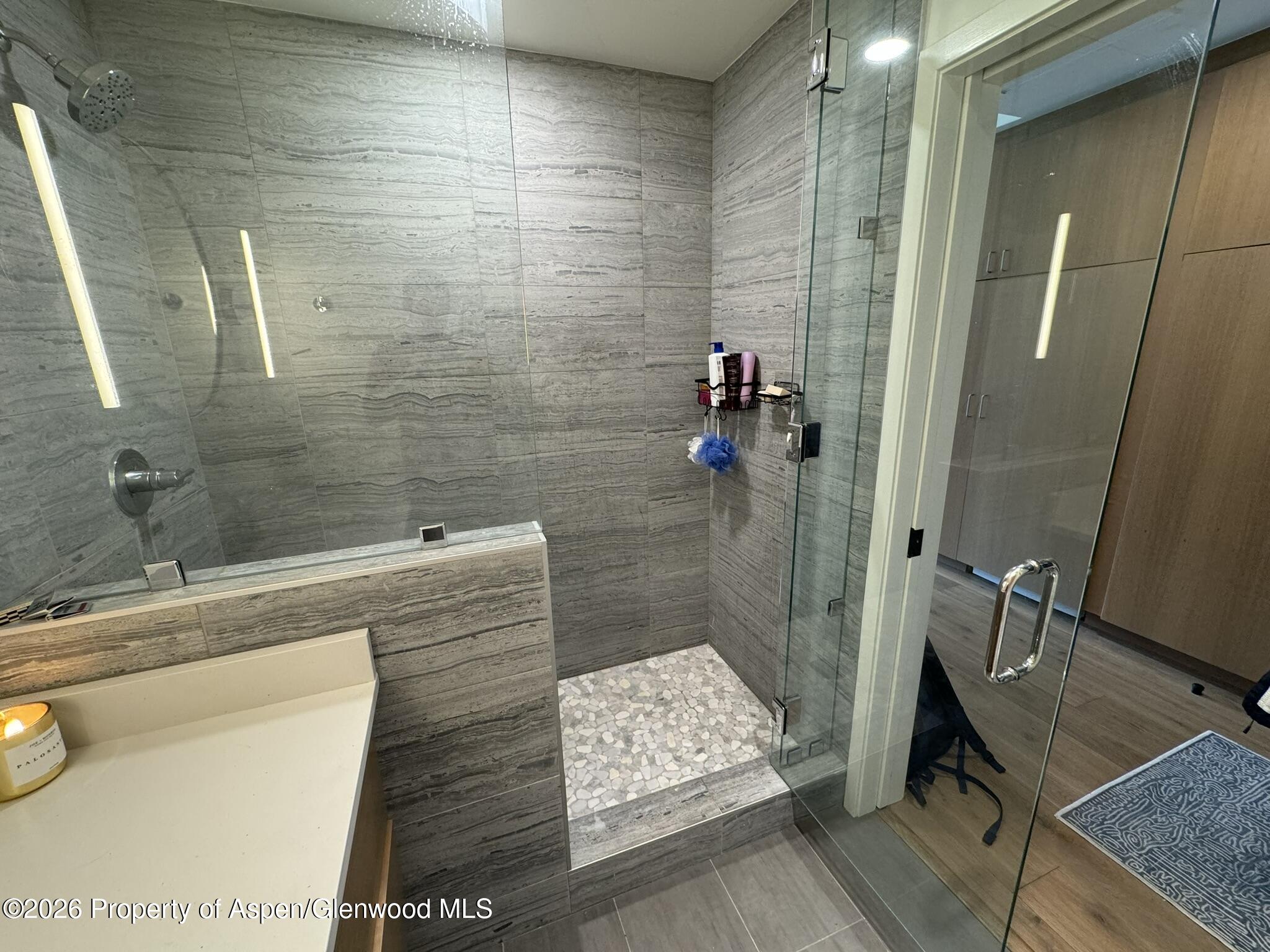 22860 2 Rivers Road, Unit 372 Basalt, CO 81621 - Photo 9 of 21 93516712-9761-45D2-A45F-D897FDE2CE94