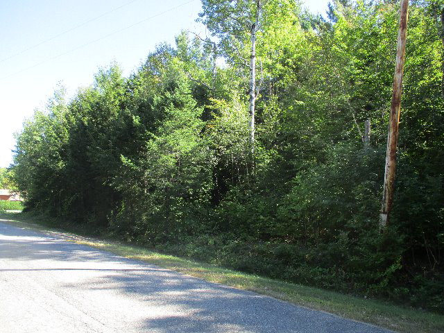 0 East Road Cadyville, NY 12918 - Photo 9 of 12 Gallery Image 9