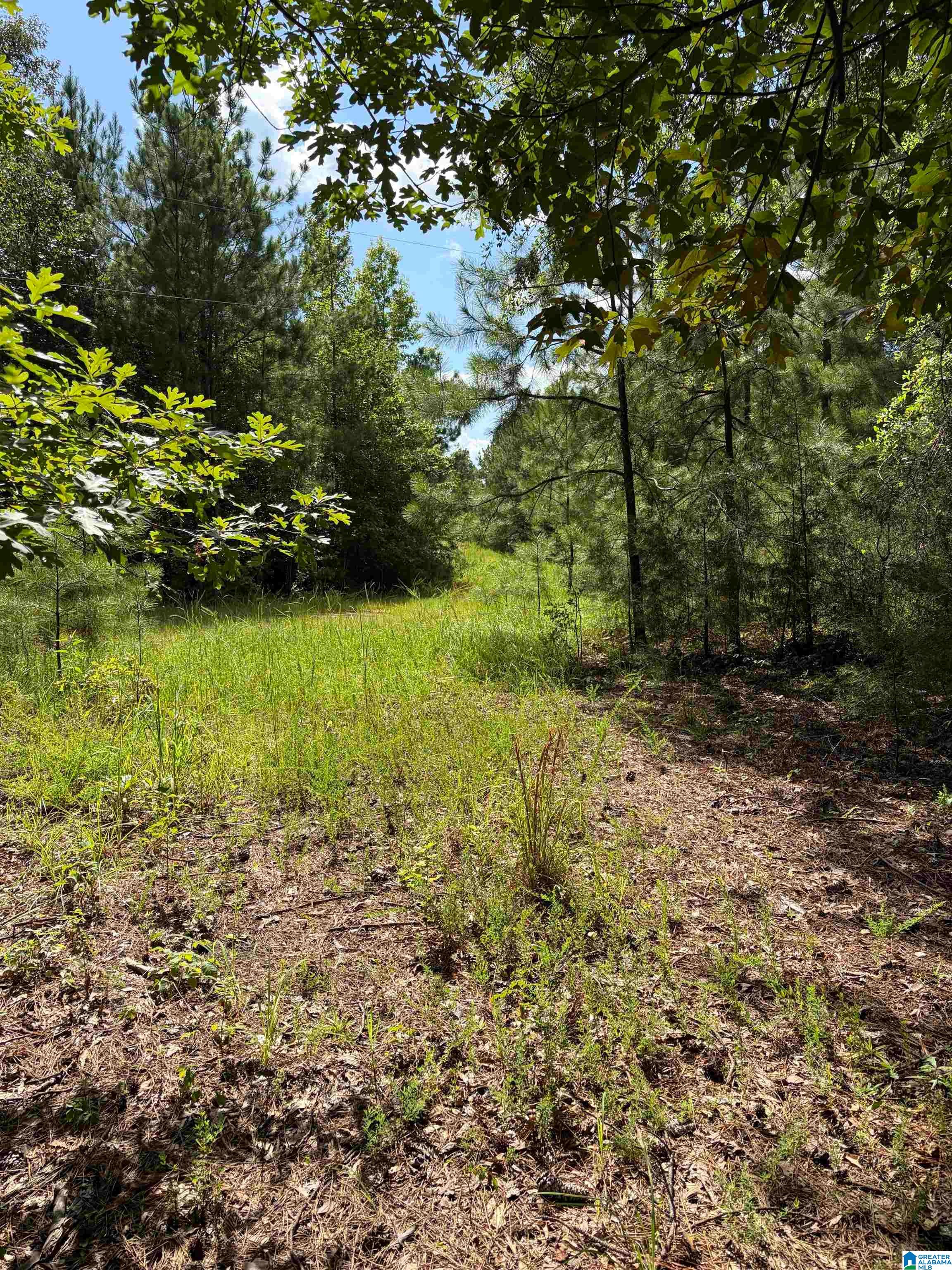 228 County Road, Unit 1 Clanton, AL 35045 - Photo 2 of 10