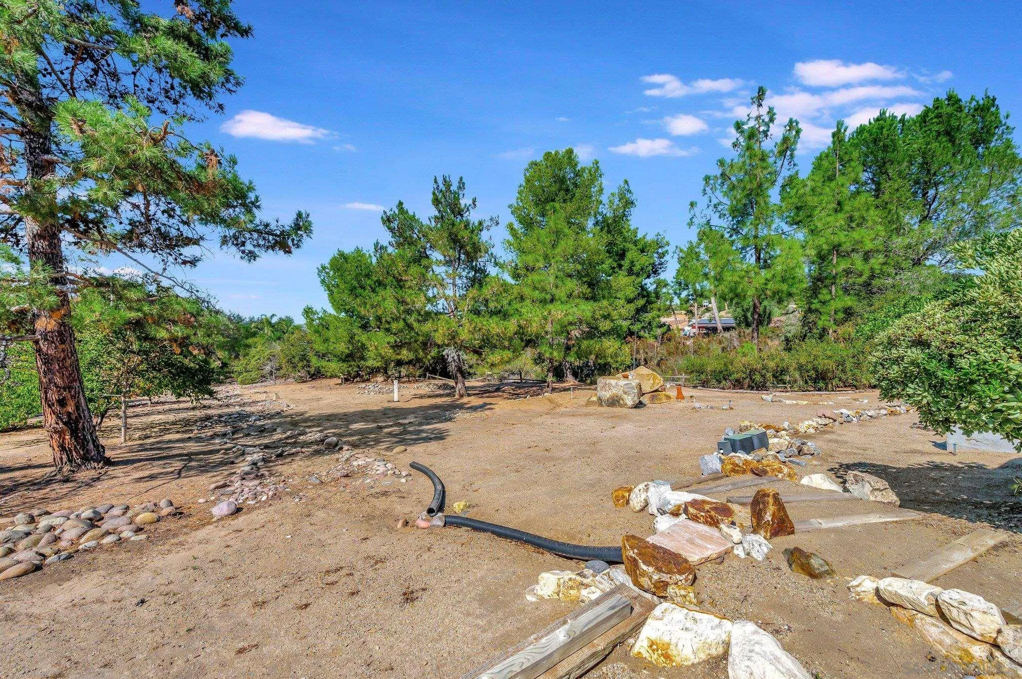 2596 Valetta Lane Alpine, CA 91901 - Photo 37 of 48 a view of a yard with an trees