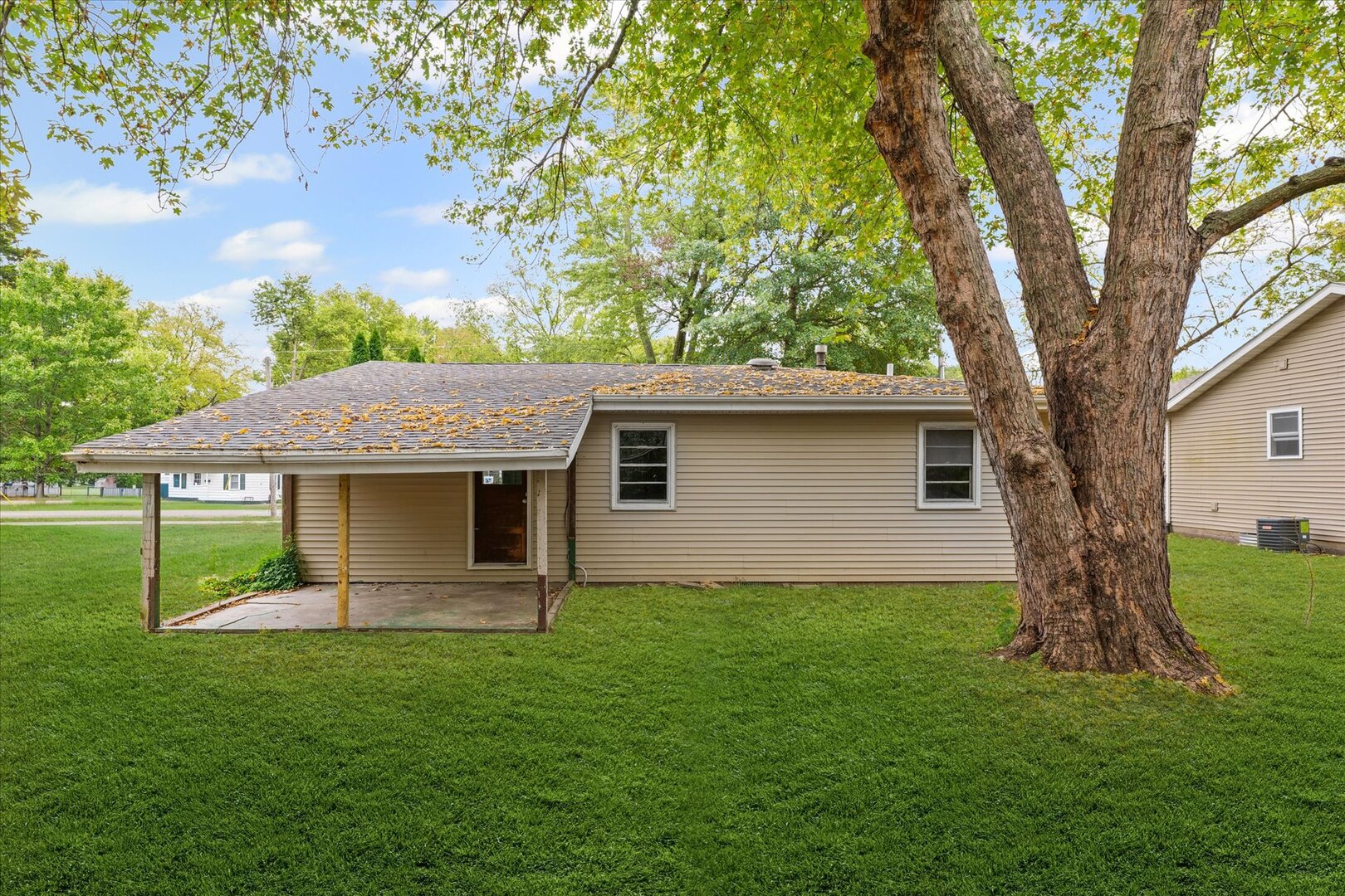 842 North Walnut Street Monticello, IL 61856 - Photo 31 of 33 a view of a house with a yard and a large tree