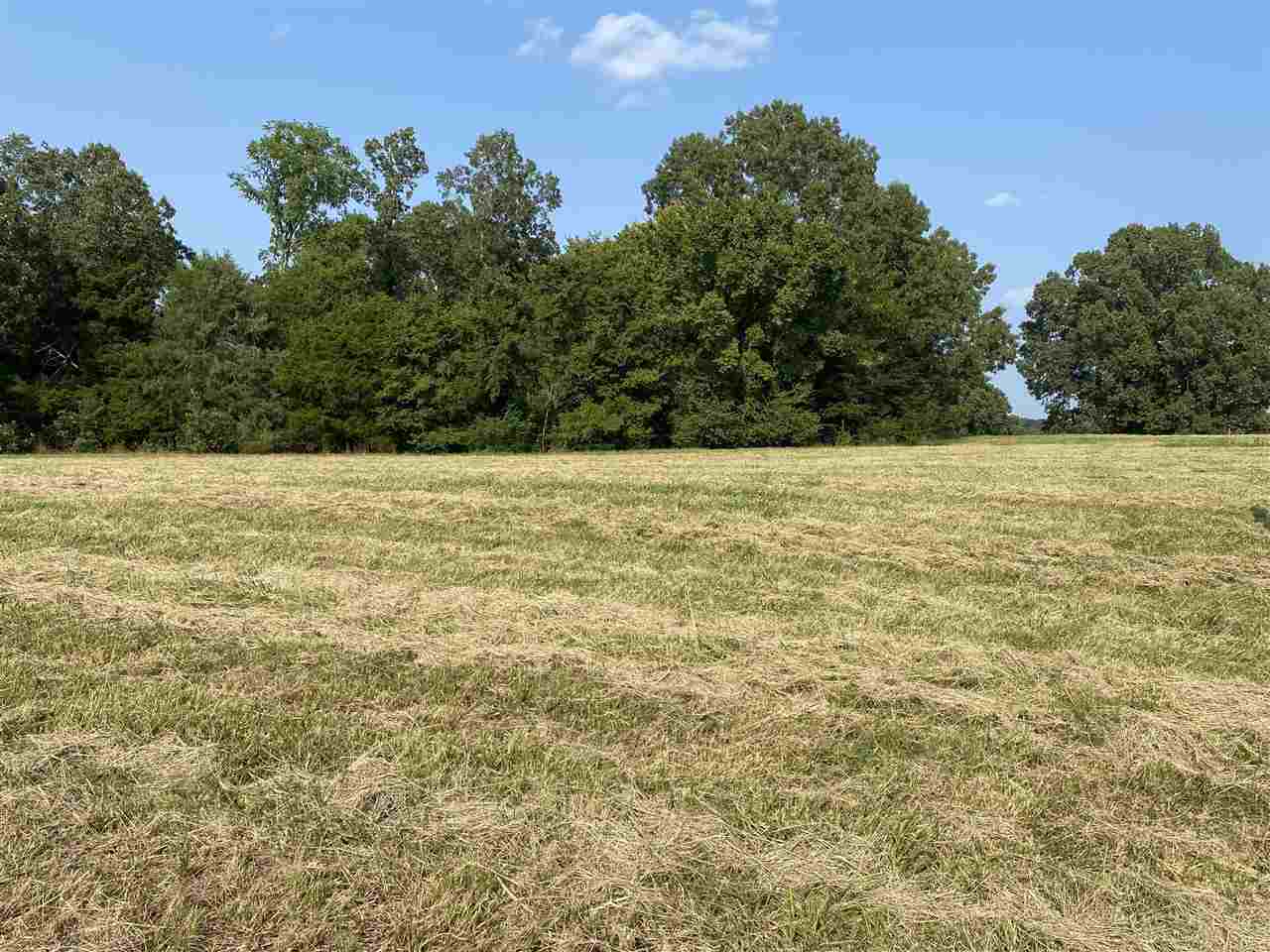 2495 Tomlin Road Somerville, TN 38068 - Photo 1 of 3 Gallery Image 1